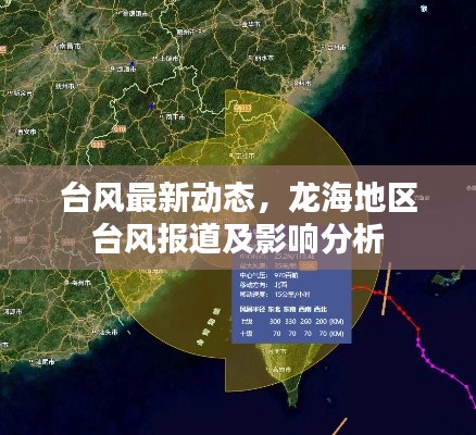 台风最新动态,龙海地区台风报道及影响分析