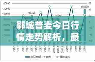 郓城普麦今日行情走势解析，最新市场分析报告