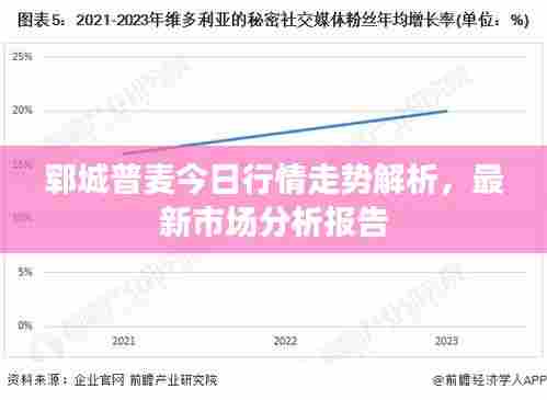 郓城普麦今日行情走势解析,最新市场分析报告