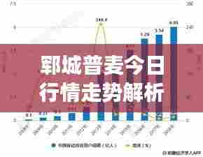 郓城普麦今日行情走势解析,最新市场分析报告