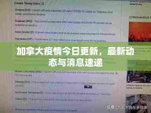 飞流直下 第3页