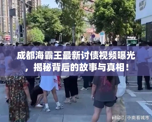 成都海霸王最新讨债视频曝光,揭秘背后的故事与真相!