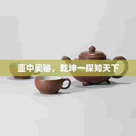 壶中奥秘，乾坤一探知天下