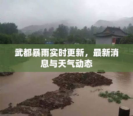 武都暴雨实时更新，最新消息与天气动态