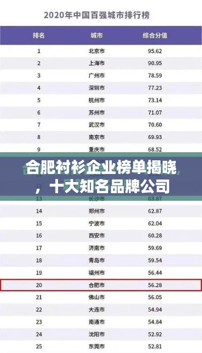 合肥衬衫企业榜单揭晓，十大知名品牌公司