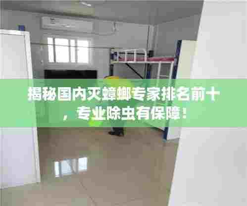 揭秘国内灭蟑螂专家排名前十,专业除虫有保障!