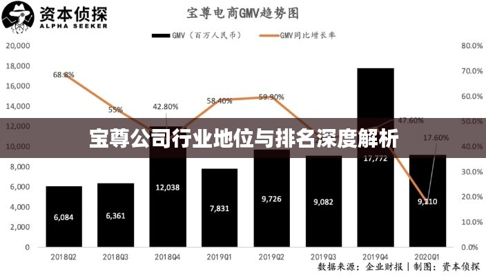 宝尊公司行业地位与排名深度解析