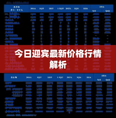 今日迎宾最新价格行情解析