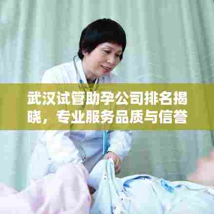 武汉试管助孕公司排名揭晓,专业服务品质与信誉并存