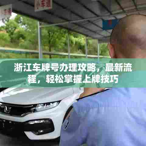 浙江车牌号办理攻略,最新流程,轻松掌握上牌技巧