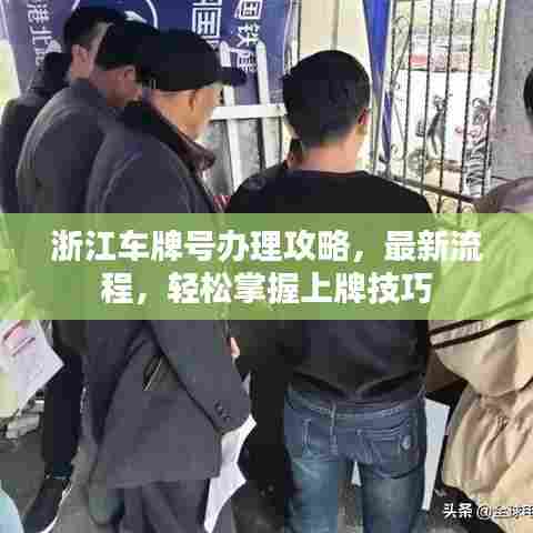 浙江车牌号办理攻略,最新流程,轻松掌握上牌技巧