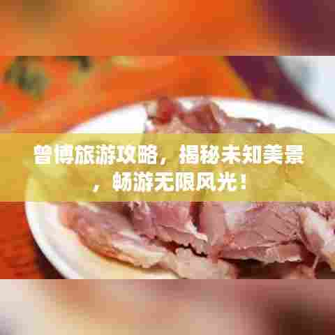 曾博旅游攻略,揭秘未知美景,畅游无限风光!