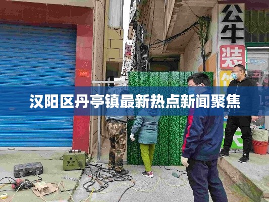 汉阳区丹亭镇最新热点新闻聚焦