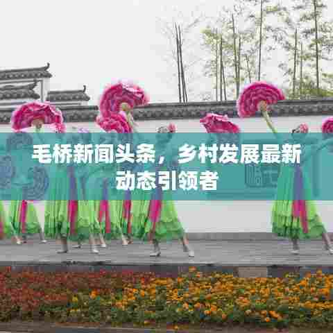 毛桥新闻头条，乡村发展最新动态引领者