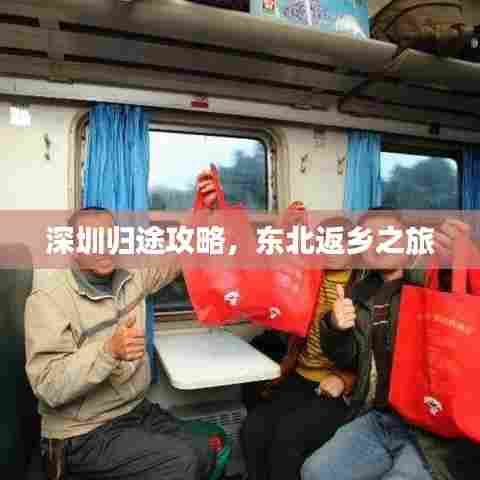 深圳归途攻略,东北返乡之旅