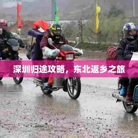 深圳归途攻略,东北返乡之旅