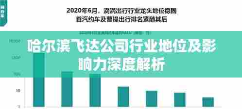 哈尔滨飞达公司行业地位及影响力深度解析