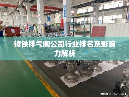 铸铁排气阀公司行业排名及影响力解析
