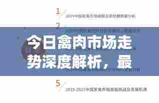 今日禽肉市场走势深度解析，最新行情报告