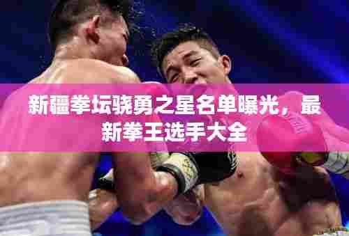 新疆拳坛骁勇之星名单曝光，最新拳王选手大全