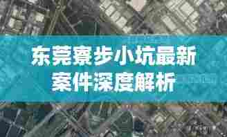 东莞寮步小坑最新案件深度解析