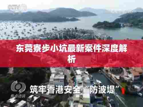 东莞寮步小坑最新案件深度解析