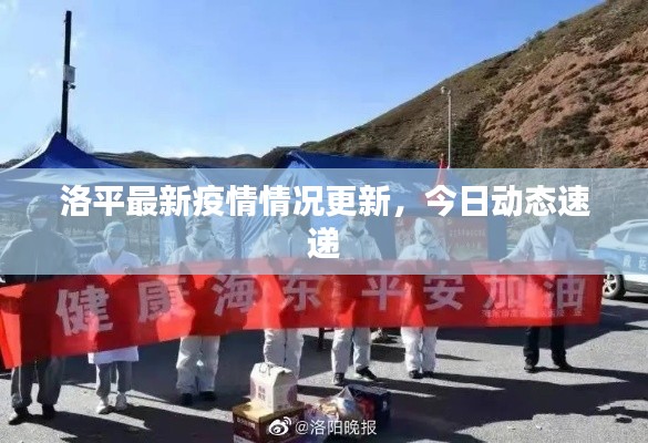 洛平最新疫情情况更新,今日动态速递