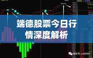 端德股票今日行情深度解析
