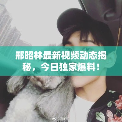 邢昭林最新视频动态揭秘，今日独家爆料！