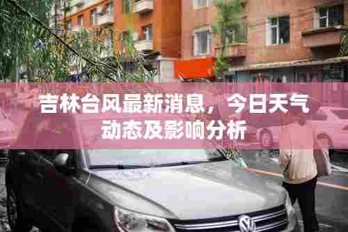 吉林台风最新消息,今日天气动态及影响分析