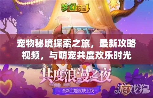 宠物秘境探索之旅，最新攻略视频，与萌宠共度欢乐时光