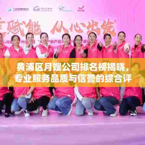 黄浦区月嫂公司排名榜揭晓,专业服务品质与信誉的综合评价