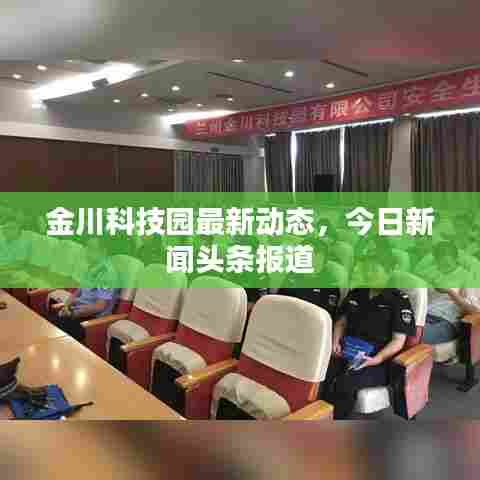 金川科技园最新动态，今日新闻头条报道