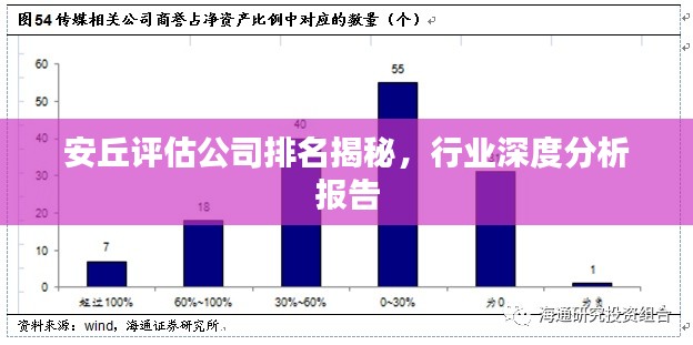 安丘评估公司排名揭秘,行业深度分析报告