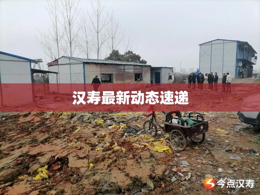 汉寿最新动态速递