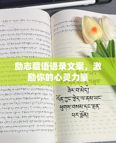 励志藏语语录文案,激励你的心灵力量