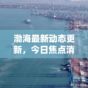 渤海最新动态更新,今日焦点消息汇总