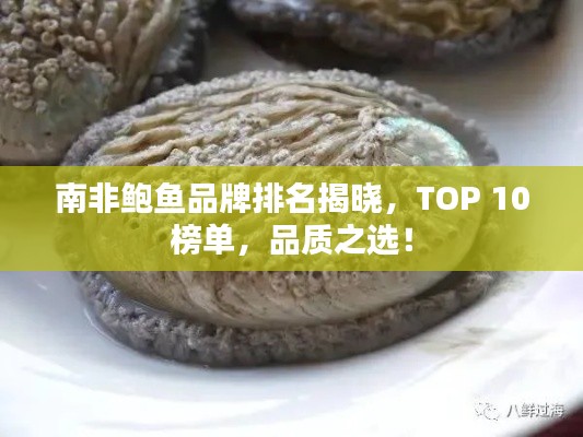 南非鲍鱼品牌排名揭晓，TOP 10榜单，品质之选！