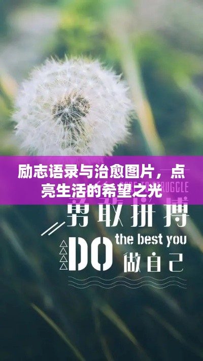 励志语录与治愈图片，点亮生活的希望之光