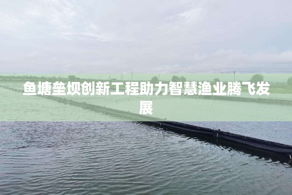鱼塘垒坝创新工程助力智慧渔业腾飞发展