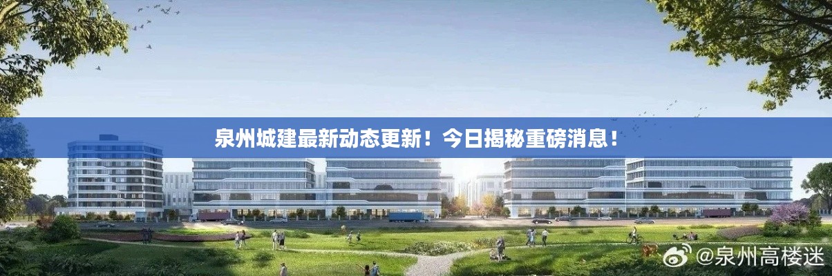 泉州城建最新动态更新!今日揭秘重磅消息!