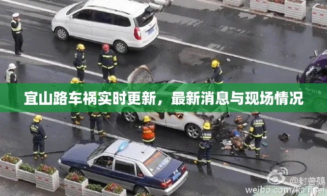 宜山路车祸实时更新,最新消息与现场情况