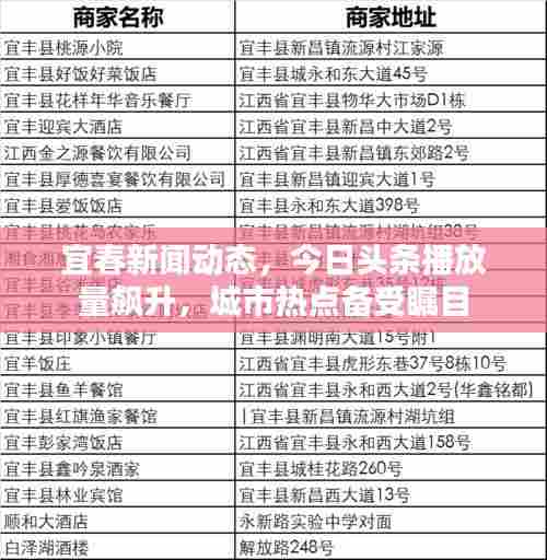 宜春新闻动态，今日头条播放量飙升，城市热点备受瞩目