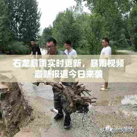 石龙暴雨实时更新,暴雨视频最新报道今日来袭