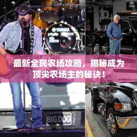 最新全民农场攻略,揭秘成为顶尖农场主的秘诀!