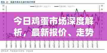 今日鸡蛋市场深度解析，最新报价、走势分析及未来预测