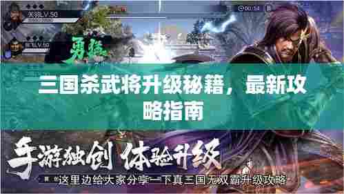 三国杀武将升级秘籍,最新攻略指南