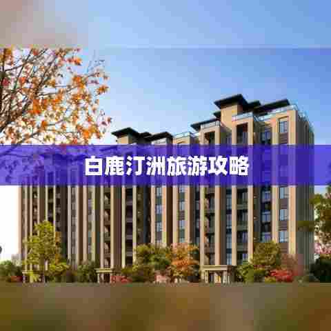 白鹿汀洲旅游攻略