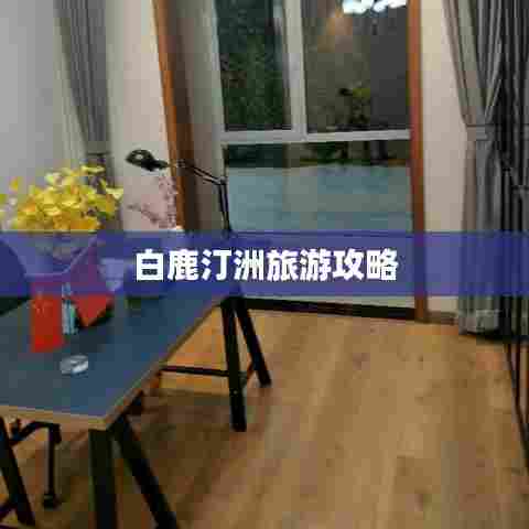 白鹿汀洲旅游攻略