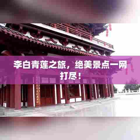 鸡飞狗跳 第3页